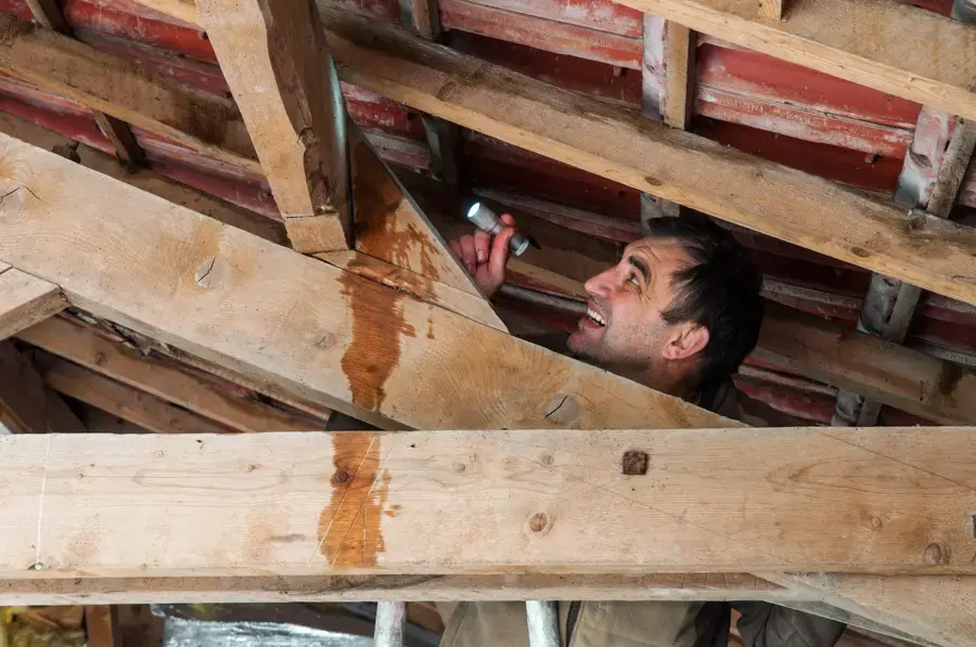 Inspector tracing a water stain down attic rafters below a leaking Naples roof